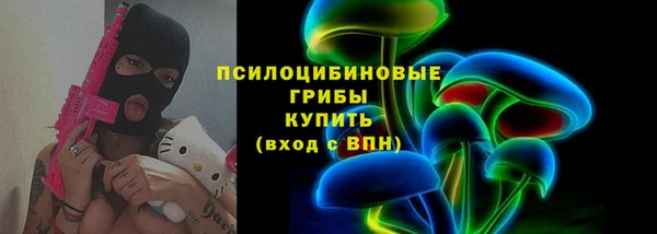 ешки Абинск